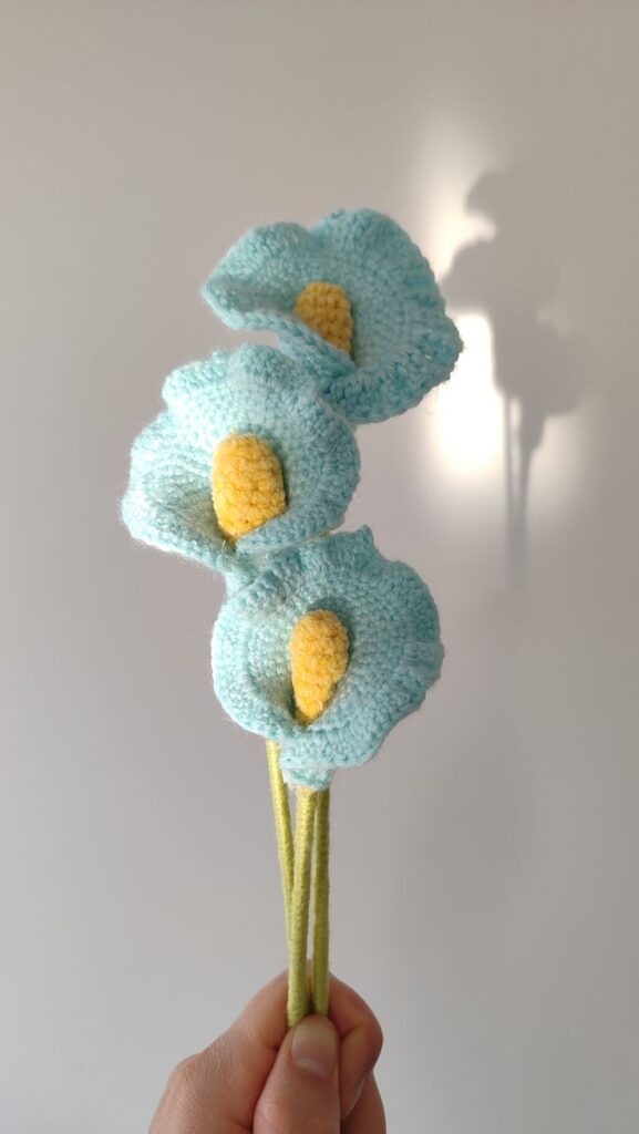 6903517fbe2ed54c0d5c1cc48e6e2558