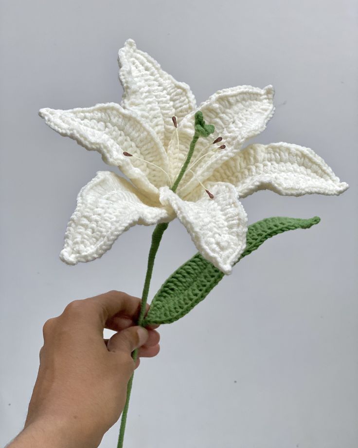 b0f00992595fba2707c53425a6d4dacb