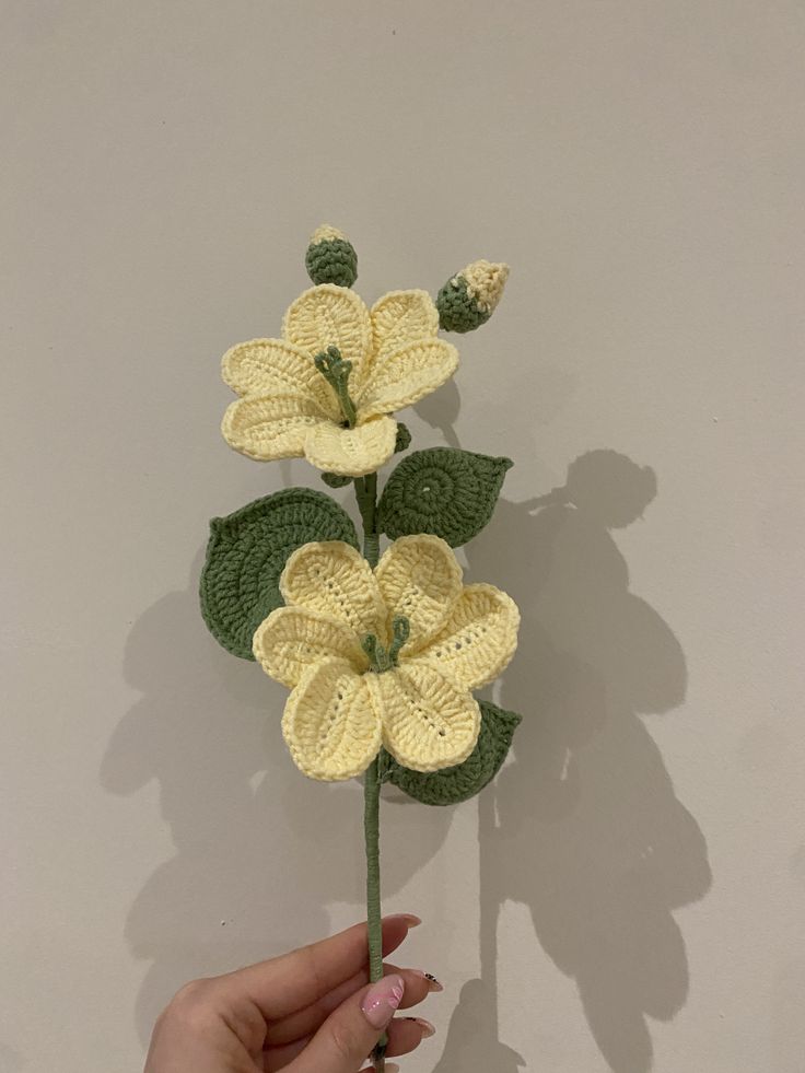 ec604d23bde84334aace219406712382