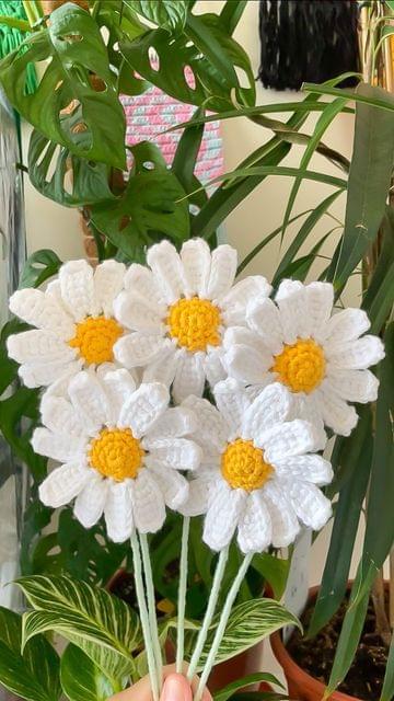 crochet daisy flower